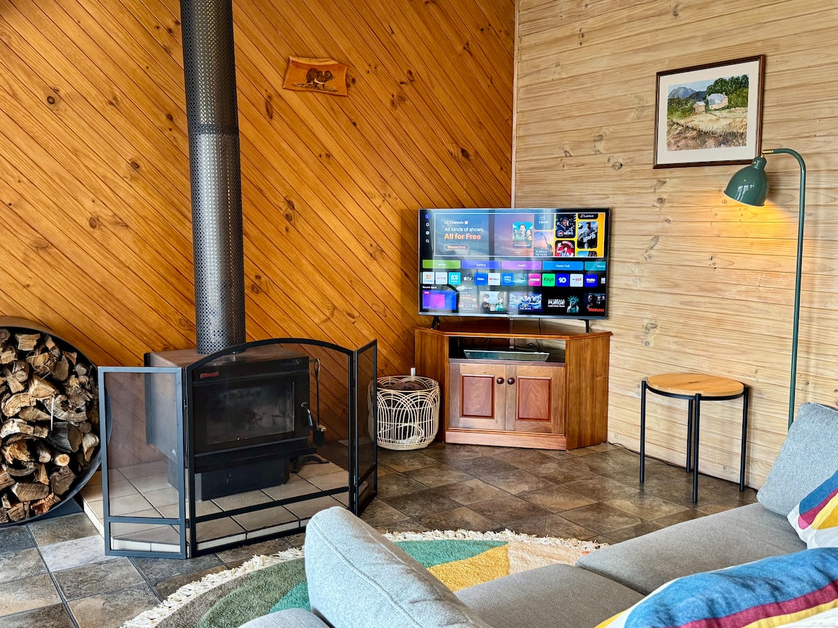 Living area with wood fire and television